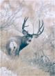 Joshua Spies Fine Art Contributes to Jim Shockey's Desert Golf...